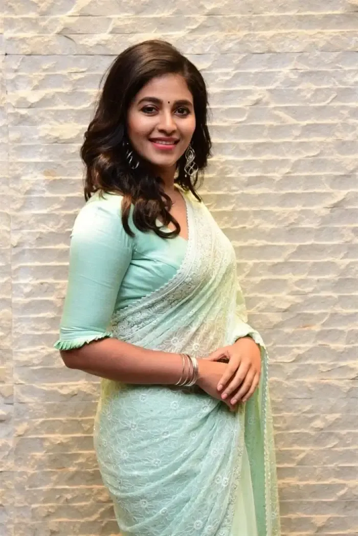 SOUTH INDIAN ACTRESS ANJALI STILLS IN TRADITIONAL LIGHT GREEN SAREE 7